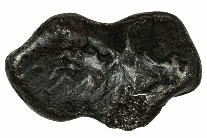 Fusion Crusted Sikhote-Alin Iron Meteorite ( g) - Russia #334564